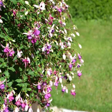 House Near Villefranche-Du-Perigord, Cleaning Included Casa vacanze *